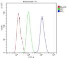 Periplakin Antibody in Flow Cytometry (Flow)