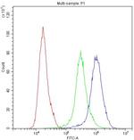 PPT1 Antibody in Flow Cytometry (Flow)