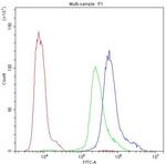 PKC eta Antibody in Flow Cytometry (Flow)