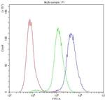 PKC eta Antibody in Flow Cytometry (Flow)