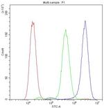 Protein C Antibody in Flow Cytometry (Flow)