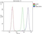 PSMA3 Antibody in Flow Cytometry (Flow)