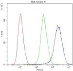 PTP4A2 Antibody in Flow Cytometry (Flow)