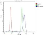 RAN Antibody in Flow Cytometry (Flow)