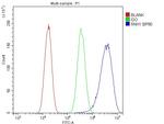 RNH1 Antibody in Flow Cytometry (Flow)