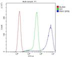 RNH1 Antibody in Flow Cytometry (Flow)