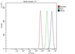 RPA70 Antibody in Flow Cytometry (Flow)