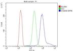 S100A9 Antibody in Flow Cytometry (Flow)