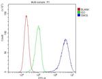 SMC6 Antibody in Flow Cytometry (Flow)