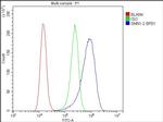 SMN1/SMN2 Antibody in Flow Cytometry (Flow)