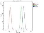 SOX10 Antibody in Flow Cytometry (Flow)