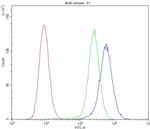 SPHK2 Antibody in Flow Cytometry (Flow)