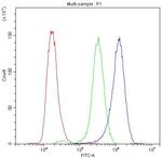 Synaptotagmin 1 Antibody in Flow Cytometry (Flow)