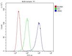 UBA2 Antibody in Flow Cytometry (Flow)