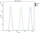 UPF1 Antibody in Flow Cytometry (Flow)