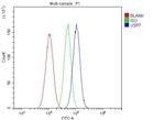 USP7 Antibody in Flow Cytometry (Flow)