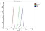 Villin Antibody in Flow Cytometry (Flow)