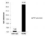 MDM2 Antibody in ChIP Assay (ChIP)