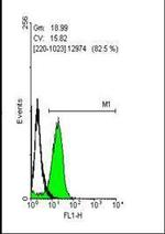 OCT4 Antibody in Flow Cytometry (Flow)