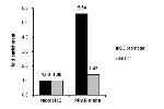 PPAR alpha Antibody in ChIP Assay (ChIP)