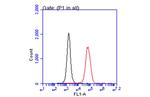 IL-2 Antibody in Flow Cytometry (Flow)