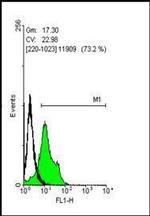 SOX2 Antibody in Flow Cytometry (Flow)