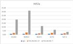 HIF-2 alpha Antibody in ChIP Assay (ChIP)