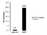 IKAROS Antibody in ChIP Assay (ChIP)