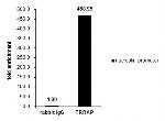 TRRAP Antibody in ChIP Assay (ChIP)