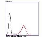 ATF6 Antibody in Flow Cytometry (Flow)