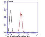 PPM1A Antibody in Flow Cytometry (Flow)