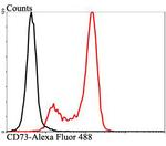 CD73 Antibody in Flow Cytometry (Flow)