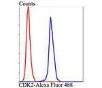 CDK2 Antibody in Flow Cytometry (Flow)