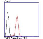 TCF7L2 Antibody in Flow Cytometry (Flow)