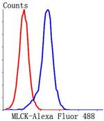 MYLK Antibody in Flow Cytometry (Flow)