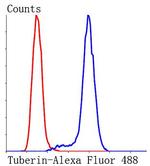 TSC2 Antibody in Flow Cytometry (Flow)