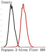 PYGO2 Antibody in Flow Cytometry (Flow)