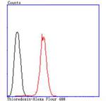 Thioredoxin 1 Antibody in Flow Cytometry (Flow)