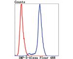 IGF2BP3 Antibody in Flow Cytometry (Flow)