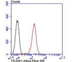 VCAM-1 (CD106) Antibody in Flow Cytometry (Flow)