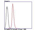 Filamin A Antibody in Flow Cytometry (Flow)