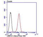 UBA3 Antibody in Flow Cytometry (Flow)