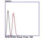 NFIB Antibody in Flow Cytometry (Flow)