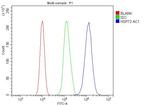 HSC70 Antibody in Flow Cytometry (Flow)