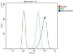 N-cadherin Antibody in Flow Cytometry (Flow)