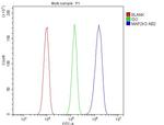 MEK3 Antibody in Flow Cytometry (Flow)