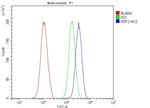 HSF2 Antibody in Flow Cytometry (Flow)