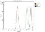 Ku70 Antibody in Flow Cytometry (Flow)