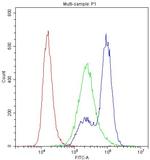 MYPT1 Antibody in Flow Cytometry (Flow)