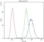 MYPT1 Antibody in Flow Cytometry (Flow)